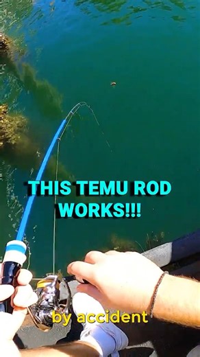 This TEMU Rod Makes Fishing TOO EASY… 😳