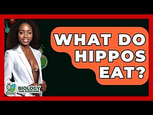 What Do Hippos Eat? - Biology For Everyone