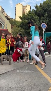 2.4M views · 44K reactions | Take your dog to the market, go out, or go to school | Bong Panchali | Facebook