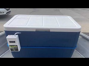 Simple DIY Portable Livewell