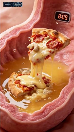 How Fast Do You Digest the Top 5 American Foods? (Inside Your Stomach Science Explained)