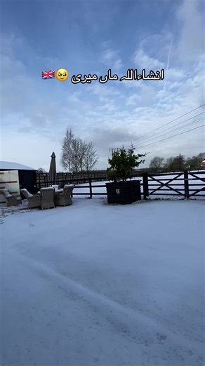 UK Student Life Insights and Experiences