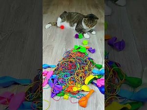 Cat Barsik Beads 📿🌈🔴 Satisfying Reverse video