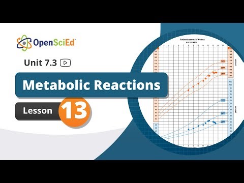 Unit 7.3 Lesson 13 Planning Video | OpenSciEd On-Demand Resources