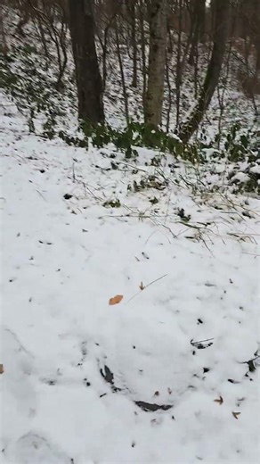 31 декабря 2025 г.