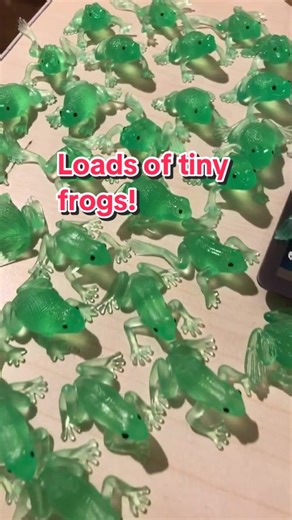 Exciting New Addition: Tiny Frogs in My Collection!