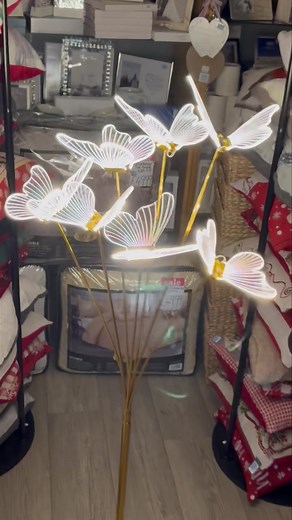 24K views · 242 reactions | Something a little different,LED butterfly 曆 lamp €49.99 | Kavanaghs giftware | Facebook