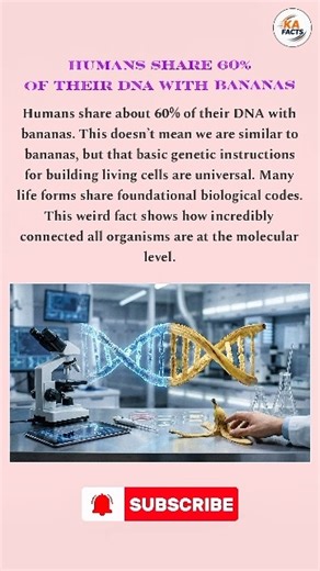 #dnafacts #weirdfacts #rarefacts #kafacts #youtubeshorts