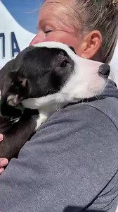 5.2K views · 497 reactions | Today is an exciting day at the SPCA! We...