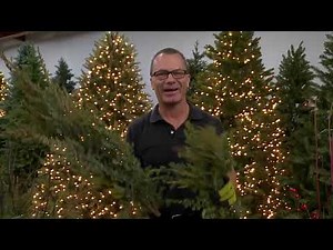 Think Outside the Box....Christmas Season Window Boxes