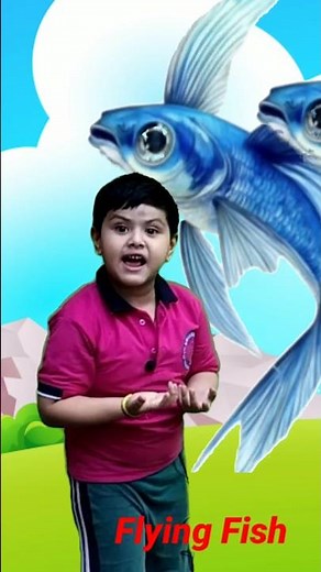 Funny water Animals Name | Learn Fish Name in English | Fish video | #shorts #shortsvideo #fish |