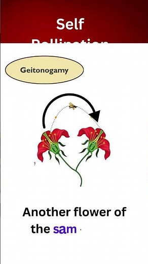 Pollination and its types #pollination #autogamy #geitonogamy #xenogamy #cbse12thbiology