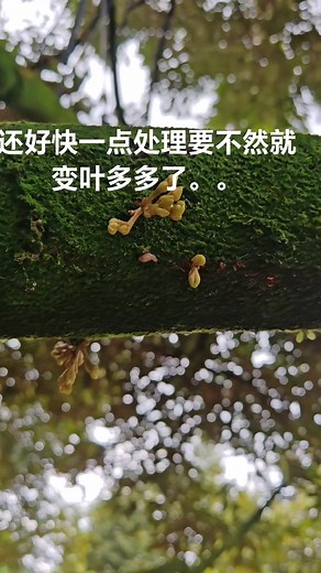 Double Fish on Reels