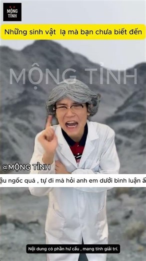 Strange creatures you've never seen before. #tiktok #funny #discovery #animals