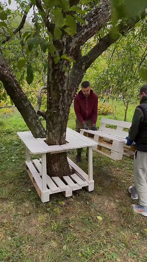 17K views · 23 reactions | Tree lounge | Crafty Panda How | Facebook