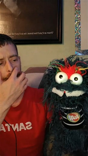 Tim and Monty on TikTok