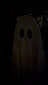 Check out this fun mirror that we created here at The Shabby Tree. #spooky #ghost #mirrors #theshabbytree | The Shabby Tree