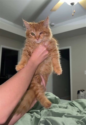 He bounced it alright 😂