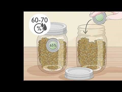 How to Dry and Cure Cannabis