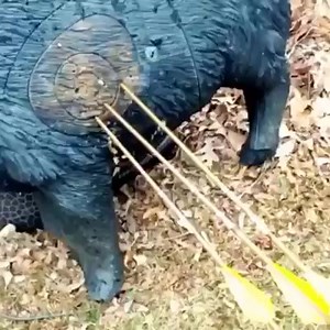 Bad Ass Slingbows on Reels