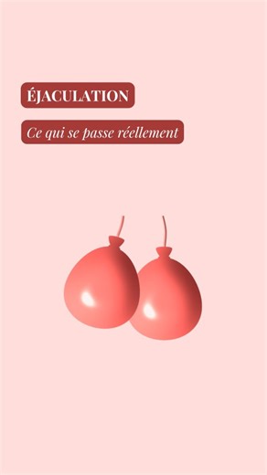 Atida | Santediscount on Instagram: "Avez-vous déjà remarqué l'aspect de vos testicules après avoir éjaculé ? 🤔 Ils peuvent paraître plus petits et parfois fripés 🍒 Cela s'explique par le relâchement du muscle crémaster et l'ajustement de la température corporelle, qui vise à les protéger. 💪 Ce changement est tout à fait normal et temporaire : il fait partie des mécanismes d'autorégulation du corps ! L'aviez-vous déjà remarqué ? 🤔 Enregistre la vidéo pour t'en souvenir 😉 #AtidaFrance #Parap