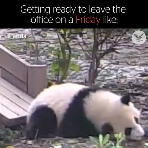 Leaving the office on Friday like | The Independent