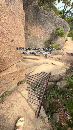 Exploring Nature at Acadia National Park