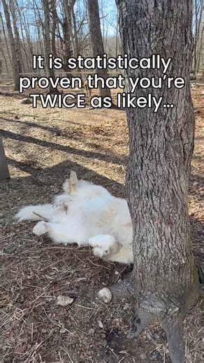 Tazzy confirmed the math on this… it checks out 😛 | The Riley Farm Rescue