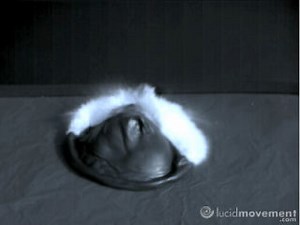 Explosion d'un ballon d'eau au ralenti