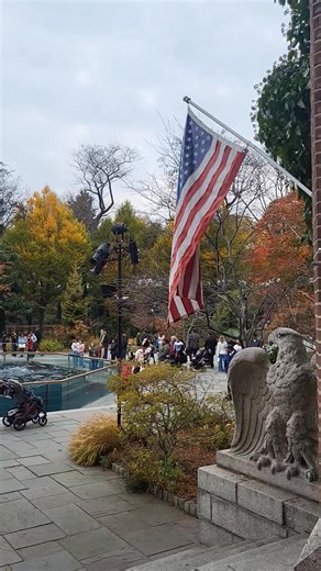 Central Park Zoo. | Baba Sam Shelley