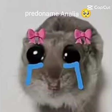 x@super-slick-slime-sam-live