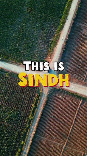 Candybell110 (@candybell110)’s videos with original sound - Candybell110