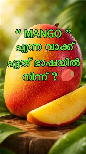 " MANGO " എന്ന വാക്ക് ഏത് ഭാഷയിൽ നിന്ന് ?
