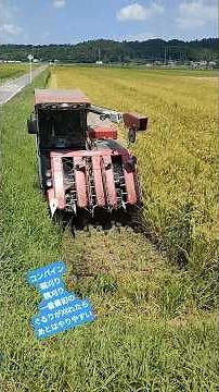 コンバイン 稲刈り 隅刈り