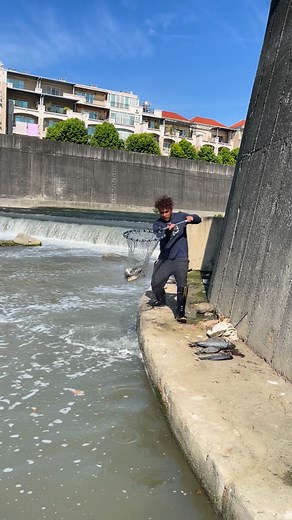 9.2K views · 25 reactions | Quick catch | Isaac TV. | Facebook