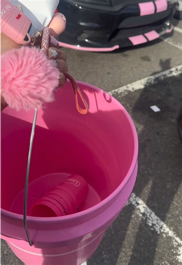 Viral Pink Buckets from Lowe's: A Dream Come True!