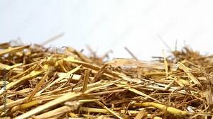 parallel tracking over a bunch of straw as border, isolated with white background