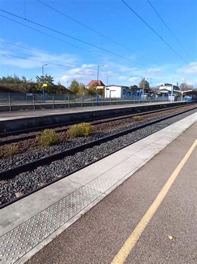 Ça se voit j'avais pas d'inspi pour le texte 🤣 ! Passage d'un Corail x BB26000 en Gare de Vendenheim et en direction de Strasbourg ! #pourtoi #train #SNCF #ter #spotteur