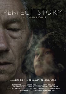 Stream Perfect Storm (2021): Find it on Netflix, Prime Video, Hulu & more