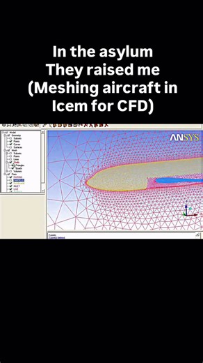 Sarah Mirza on Instagram: "#cfd #computationalfluiddynamics #fluidmechanics #aerospace #aeronautics"