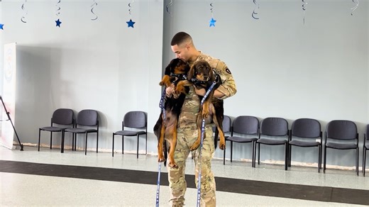 1K reactions · 142 shares | Watch the sweetest moment you’ll see...