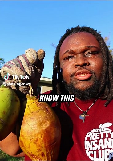 The Fascinating History of Coconuts Revealed