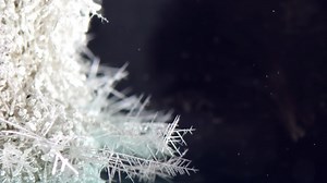 File:Silver.webm - Wikimedia Commons