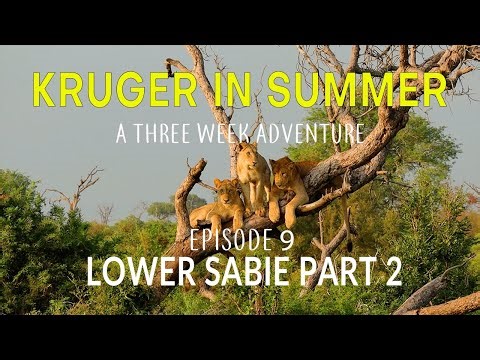 KRUGER IN SUMMER - a three week adventure - LOWER SABIE Part 2 (Episode 9)
