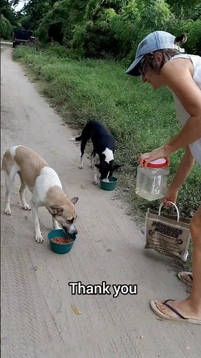 Thanks to your support, these 3 girls are some of the best cared for street dogs in México! 💚🤍❤