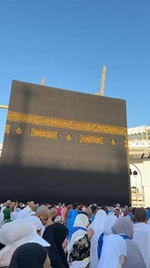 Gadgets World on Reels