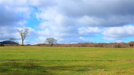 Amazing discoveries on an ancient farm