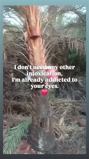 Every Time Surprise Gift 🎁AndAbsolutely Free Shopping 🛍️Worth ₹500*