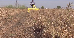 32K views · 549 reactions | KisanKraft self propelled reaper offers a...