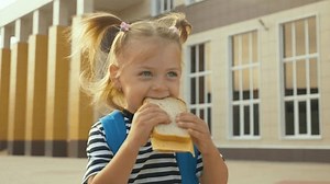 Child Eats Sandwich Bread Ham School Stock Footage Video (100% Royalty-free) 1102590859 | Shutterstock